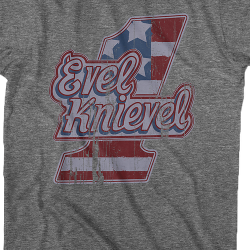 evel knievel stuff for sale