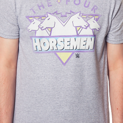 the four horsemen wrestling team