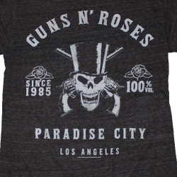 guns and roses ghost