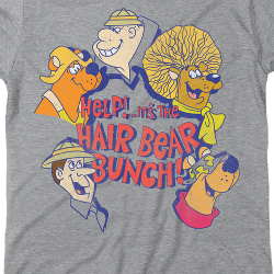 hair bear bunch theme