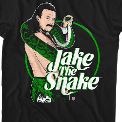 jake the snake roberts costume