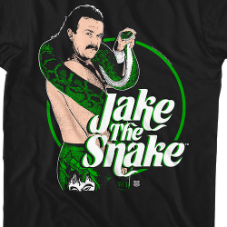 macho man vs jake the snake