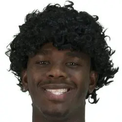 ice cube jheri curl wig