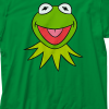 kermit the frog frosty the snowman