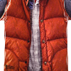 steve vest lynyrd skynyrd