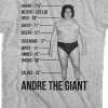 andrÃ© the giant height