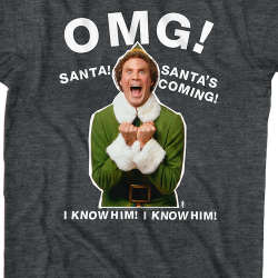santas coming to town elf