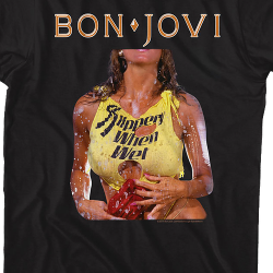 bon jovi slippery when wet original album cover