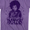 who wrote purple haze