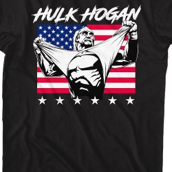 hulk hogan with american flag