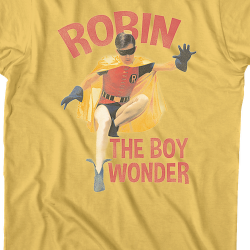 robin boy wonder merchandise