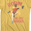 robin the boy wonder merchandise