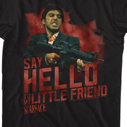 what movie is say hello to my little friend from