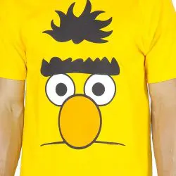 sesame street bert is sick