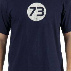 sheldon cooper 73 shirt meaning