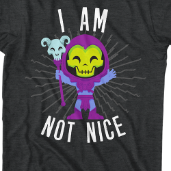 skeletor i'm not nice