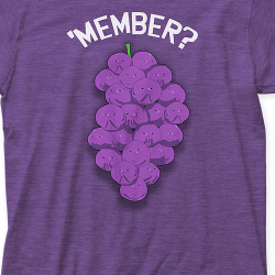 are member berries real