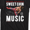 shawn michaels best sweet chin music