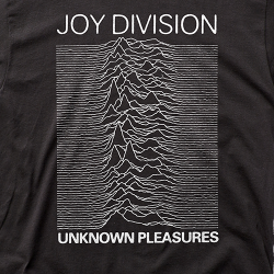 joy division t shirt american apparel