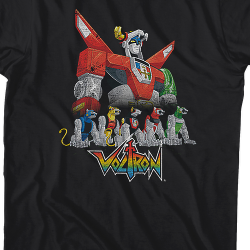 what voltron lion are you