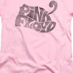 pink floyd dirty women