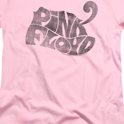 pink floyd dirty women