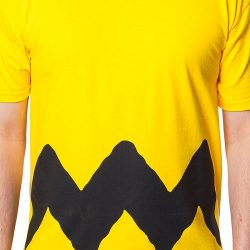 how to make a charlie brown shirt