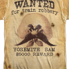 yosemite sam and dragon