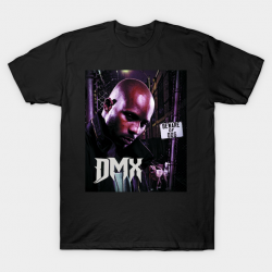 DMX 90s Mall Style T-Shirt