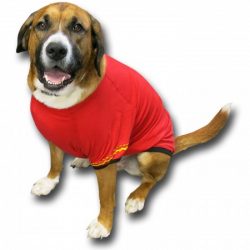 security dog tshirt