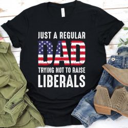 Just A Regular Dad Trying Not To Raise Liberals Shirt, Republican Dad, Regular Dad shirt, Gift for Dad, Gifts for Dad, Fathers Day GBTD0426