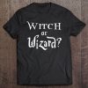 Witch Or Wizard Baby Gender Reveal