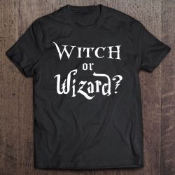 Witch Or Wizard Baby Gender Reveal