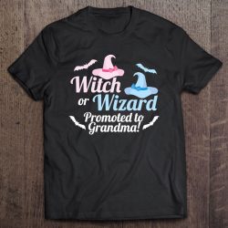 Gender Reveal Witch Or Wizard Promoted To Grandma