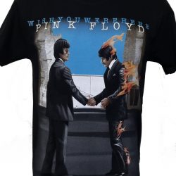 Pink Floyd t-shirt Wish You Were Here size S