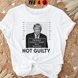 Trump not guilty shirt, Trump Support Tee, Donald Trump shirt, President shirt, Trump 2024 shirt, Free Trump Shirt, President Trump Shirt