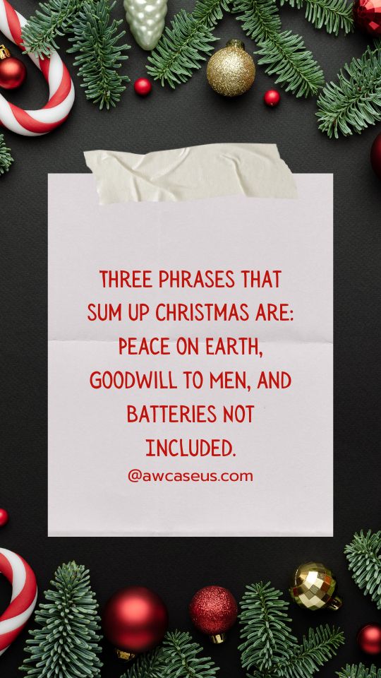 Three phrases that sum up Christmas are: Peace on Earth, Goodwill to Men, and Batteries Not Included