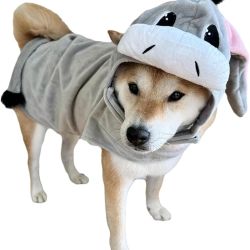 donkey costume for dog