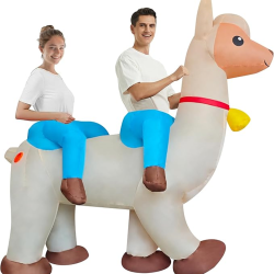 inflatable dick costume