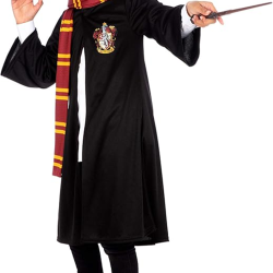 marv and harry costume